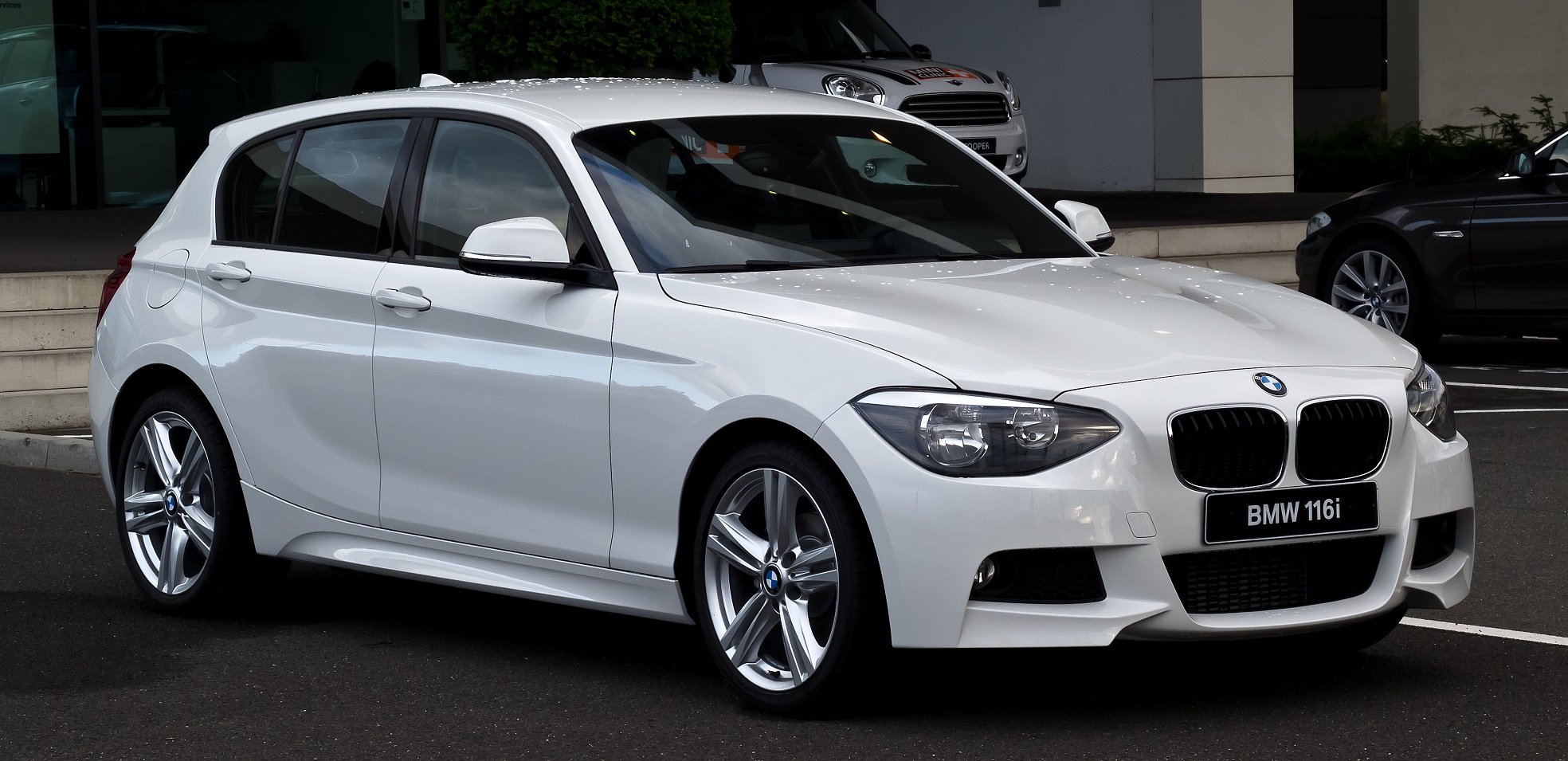 BMW  - 1 Serie F 20 vanaf 2012 Motor ECU reparatie