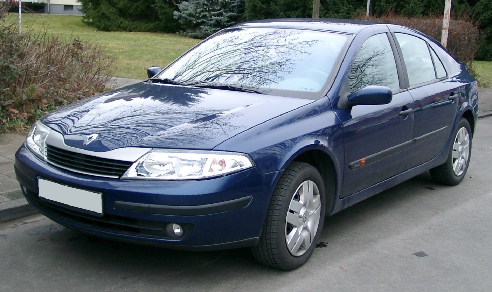 Renault - Laguna 2 vanaf 2001 Tellerpaneel reparatie